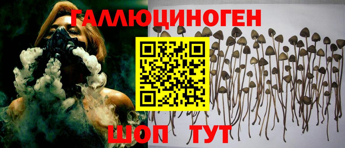 Барабинск  Галлюциногенные грибы Psilocybe  даркнет сайт  Вход с VPN 